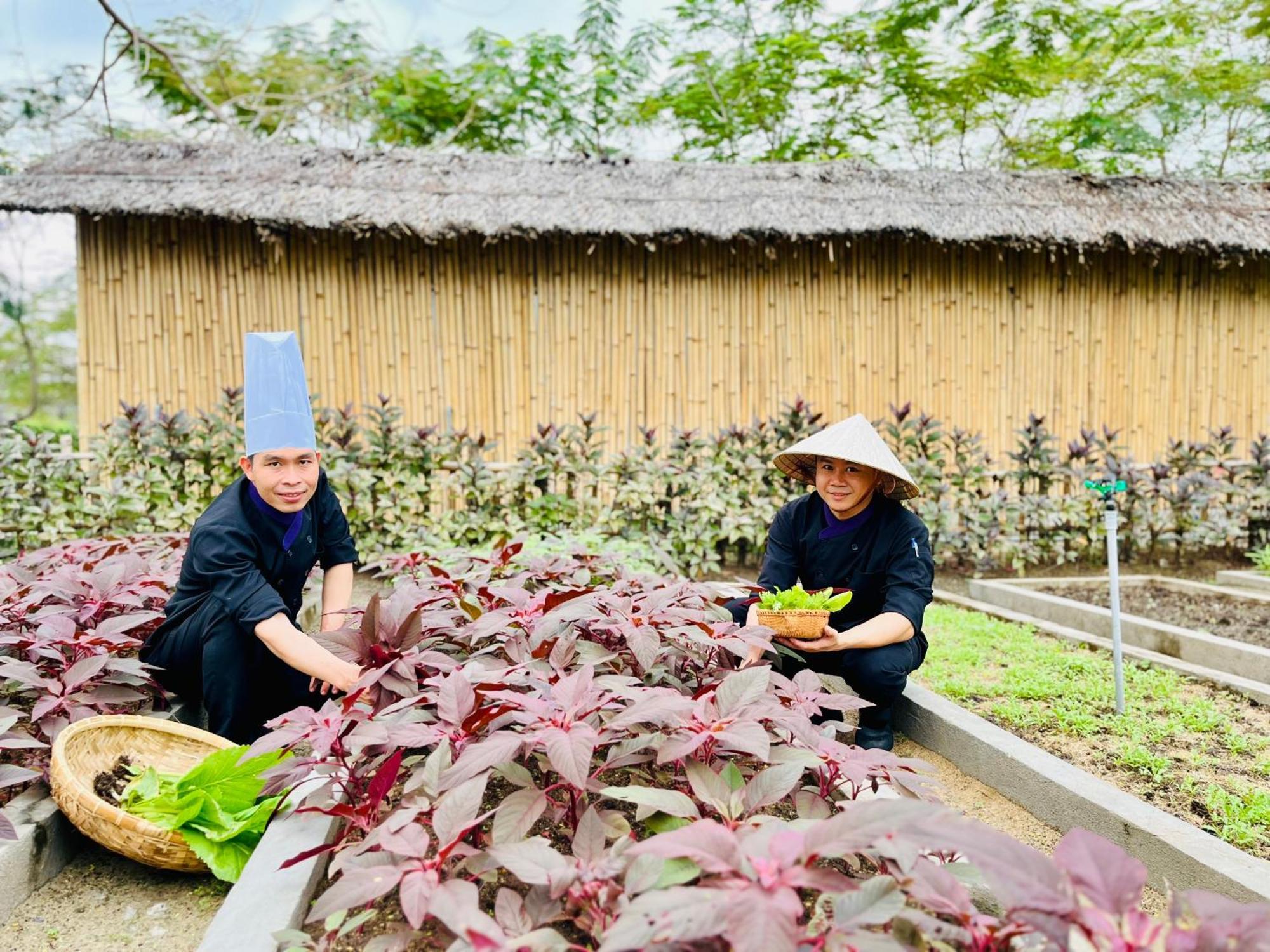 Ttc Van Phong Bay Resort - Himalaya Sauna & Steam Retreat Included Ninh Hoa Exterior foto