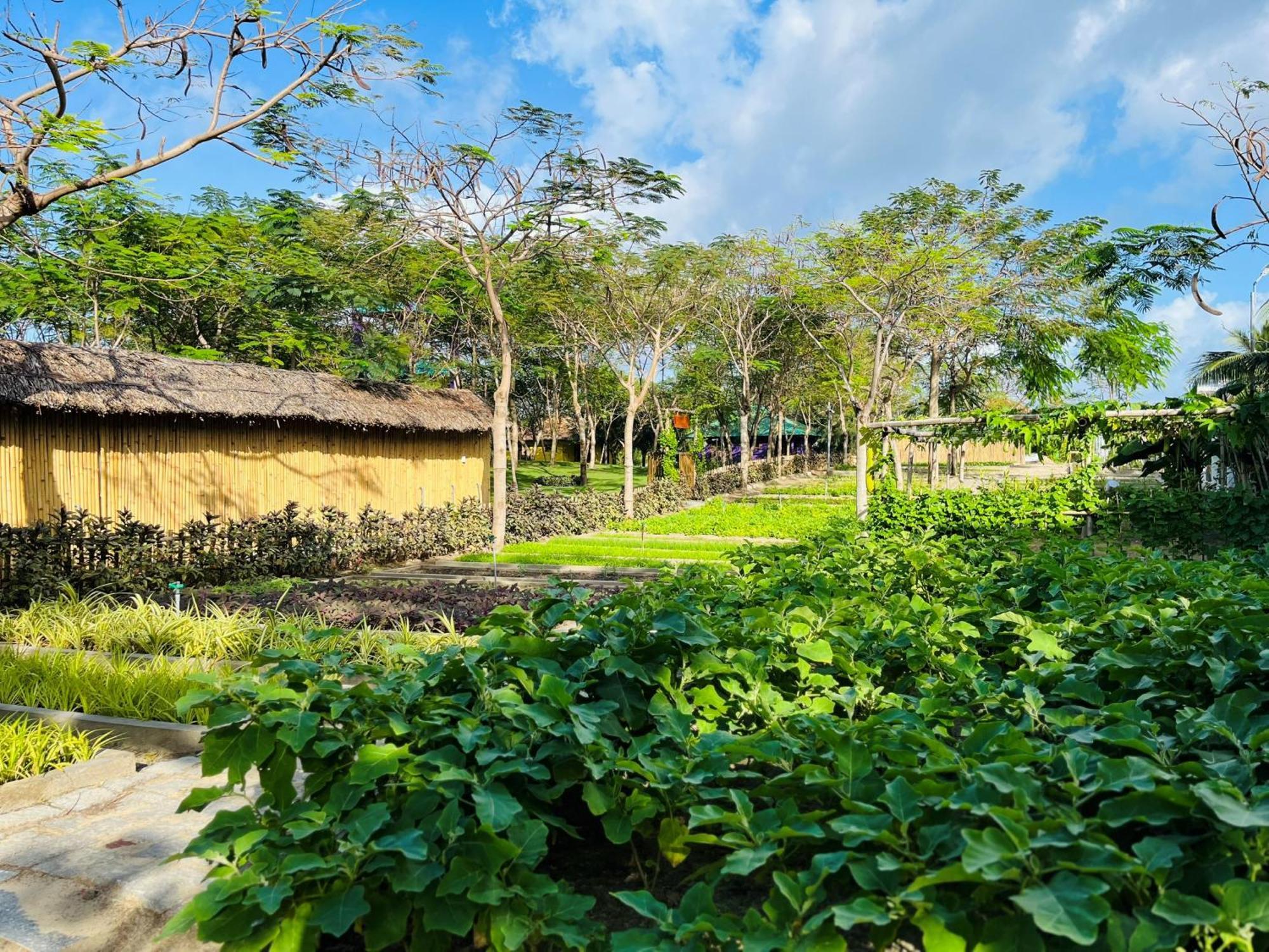 Ttc Van Phong Bay Resort - Himalaya Sauna & Steam Retreat Included Ninh Hoa Exterior foto